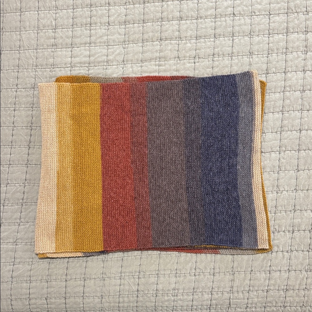 Striped Multicolor Hand Knit Acrylic Scarf - Warm Earth Tones